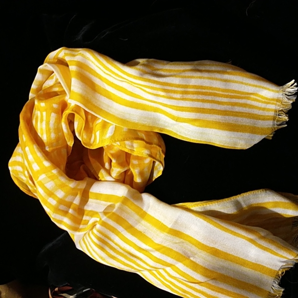 Coach modal and silk scarf